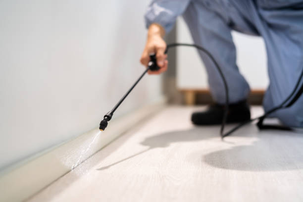 Licensed Rodent Control service in Dallam County County, TX - Nex Pest Control